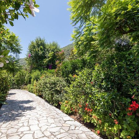 Ionian Garden Villas - Villa Pietra Mpenitses Eksteriør billede