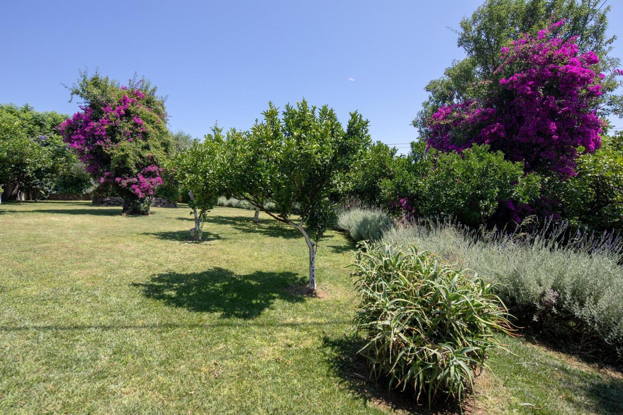 Ionian Garden Villas - Villa Pietra Mpenitses Eksteriør billede