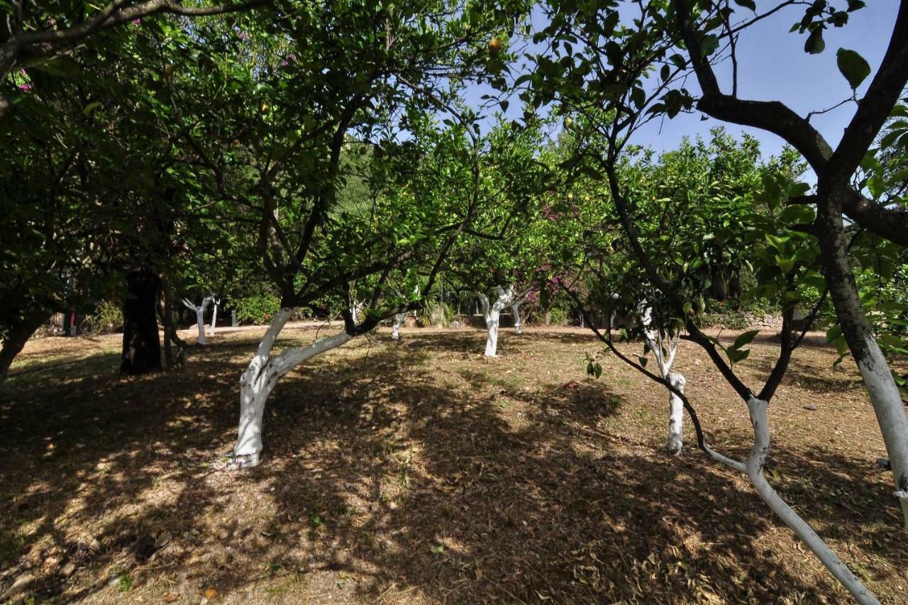 Ionian Garden Villas - Villa Pietra Mpenitses Eksteriør billede