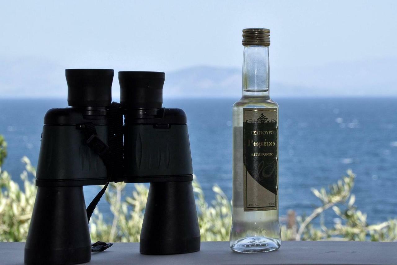 Ionian Garden Villas - Villa Pietra Mpenitses Eksteriør billede