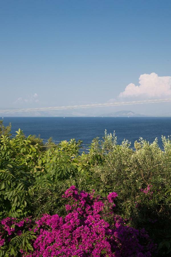 Ionian Garden Villas - Villa Pietra Mpenitses Eksteriør billede
